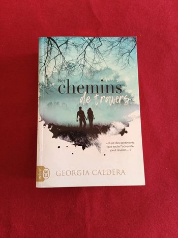 Nos chemins de travers " Georgia Caldera " Inédit J'ai lu