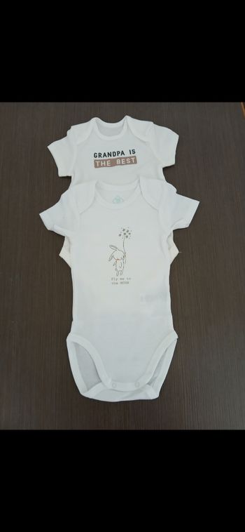 Lot de deux bodies manches courtes garçon tex baby 74 cm 12 mois