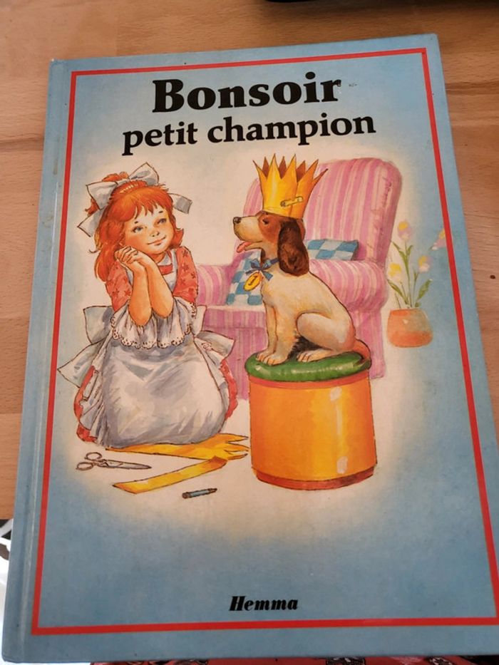 Livre Bonsoir petit champion