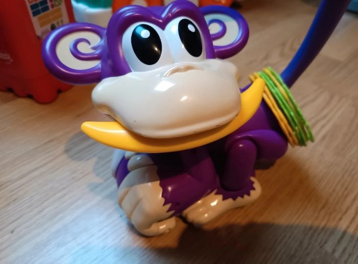 Singe en balade - photo numéro 4