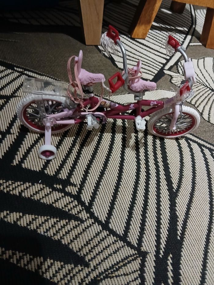 Tandem Bratzy - photo numéro 3