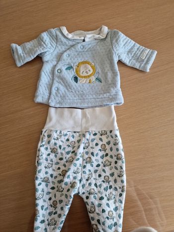 Ensemble naissance sergent major lion