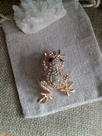 Broche grenouille dorée