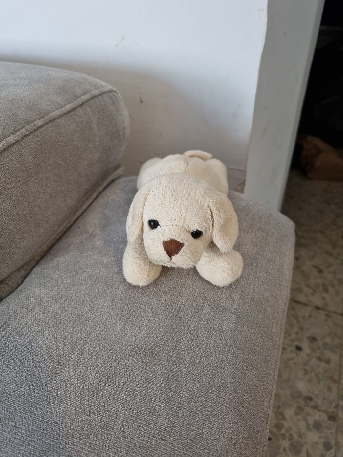 Peluche chien