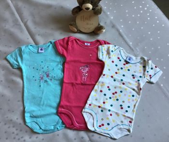 Lot 3 bodies