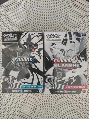 Lot 2 bundles flamme noire et foudre blanche pokémon