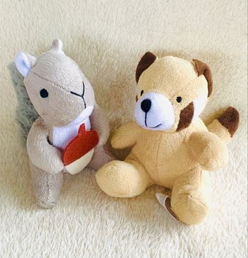 Lot de 2 petits peluches doux écureuil et raton laveur