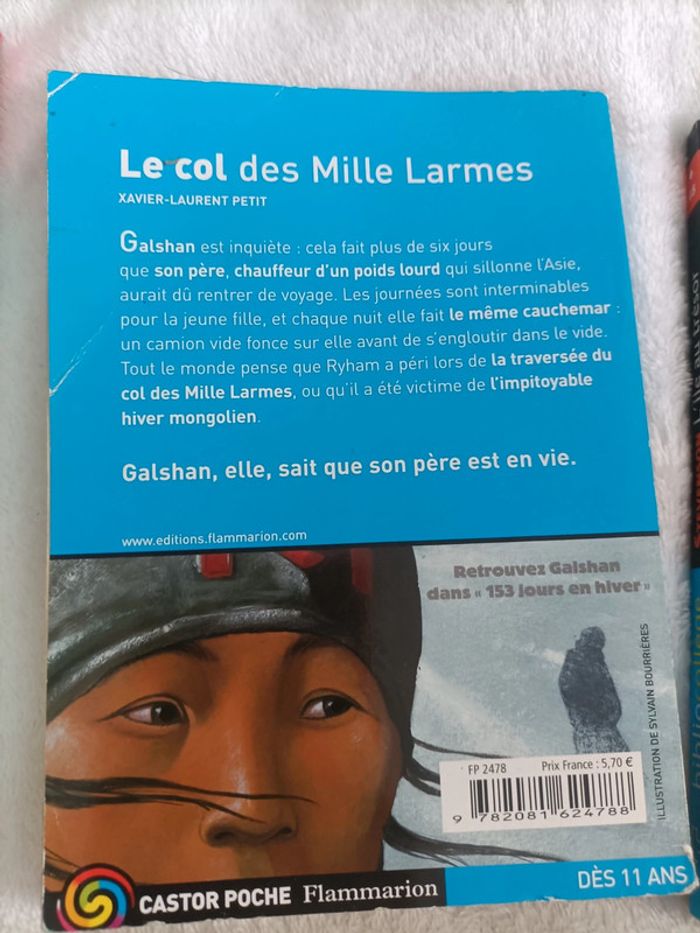 Énorme lot de livres collège – 15 titres - photo numéro 5