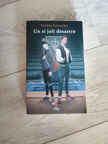 Un si joli désastre Sophie Gonzales PkJ