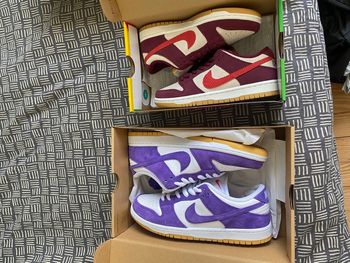 Lot Dunk Sb