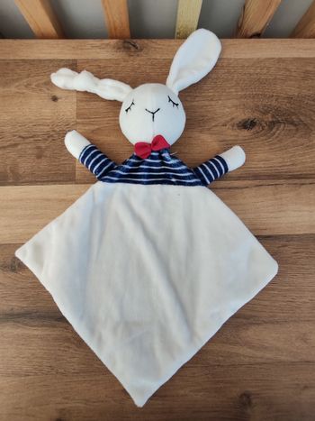 Lapin envie de fraise marine et blanc