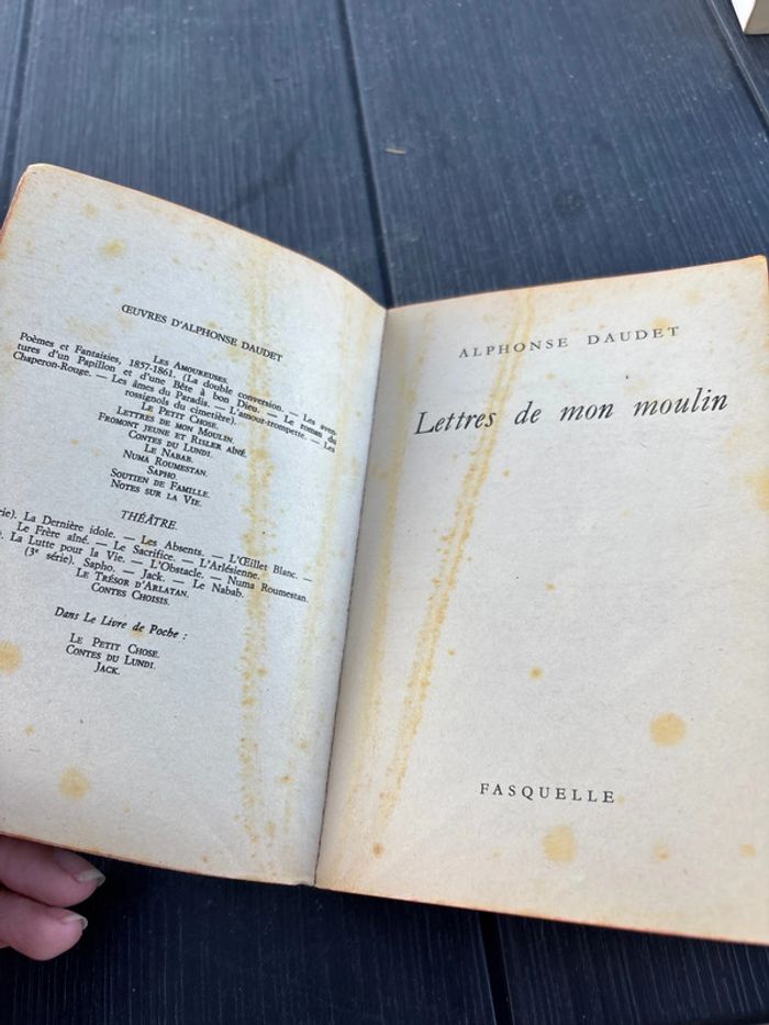 Alphonse Daudet lettres de mon moulin - photo numéro 4