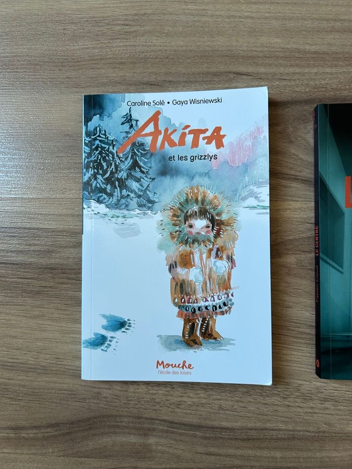 Lot de 2 Livres Jeunesse Akita et Le Centre - photo numéro 2