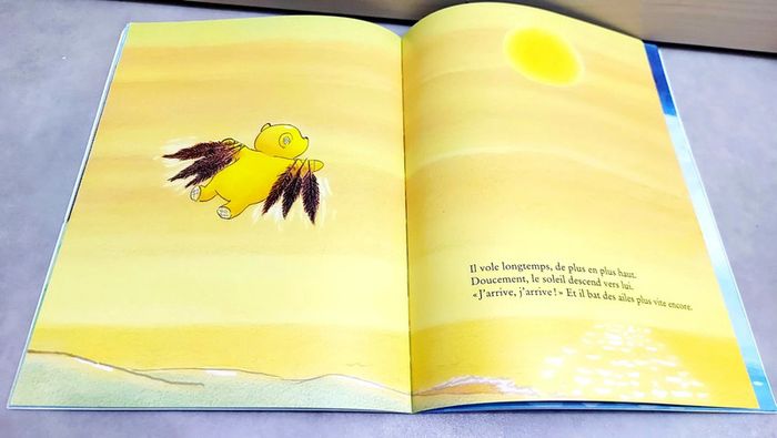 🌺 Livre (école des loisirs) : Soleil tombé - photo numéro 4