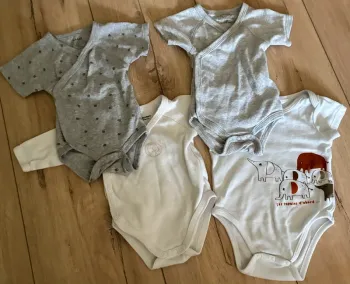 Lot 4 bodies