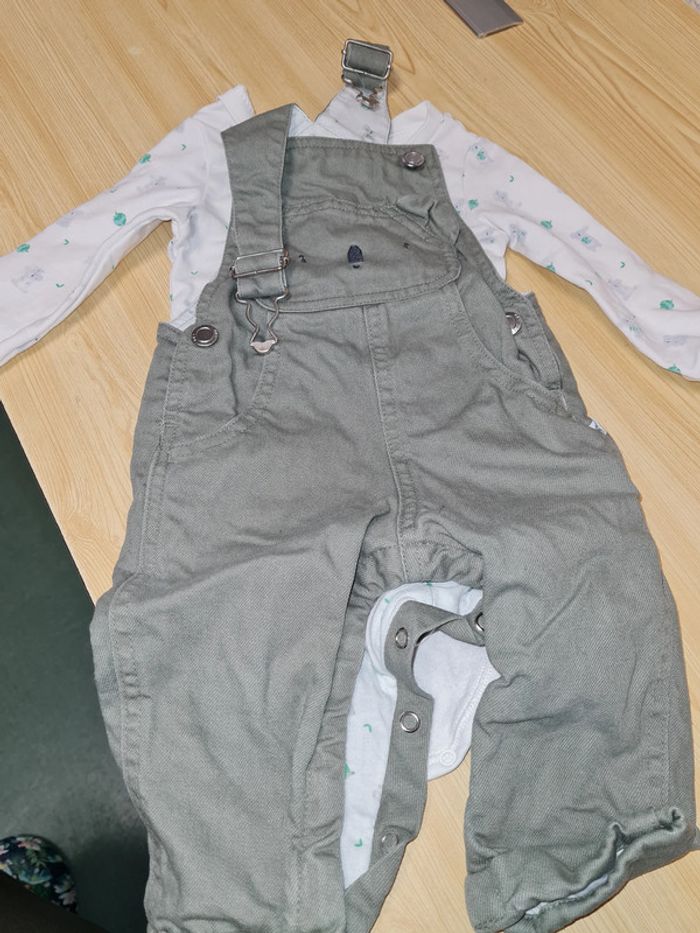 ensemble koala
