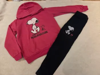 Ensemble snoopy
