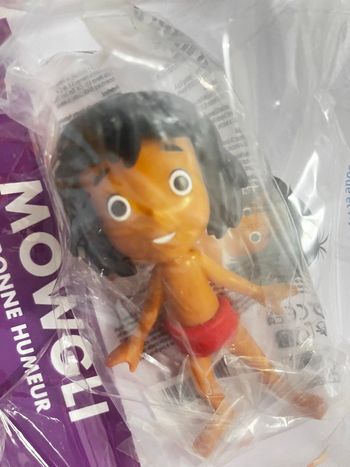 Livre Disney mes premiers amis sous blister