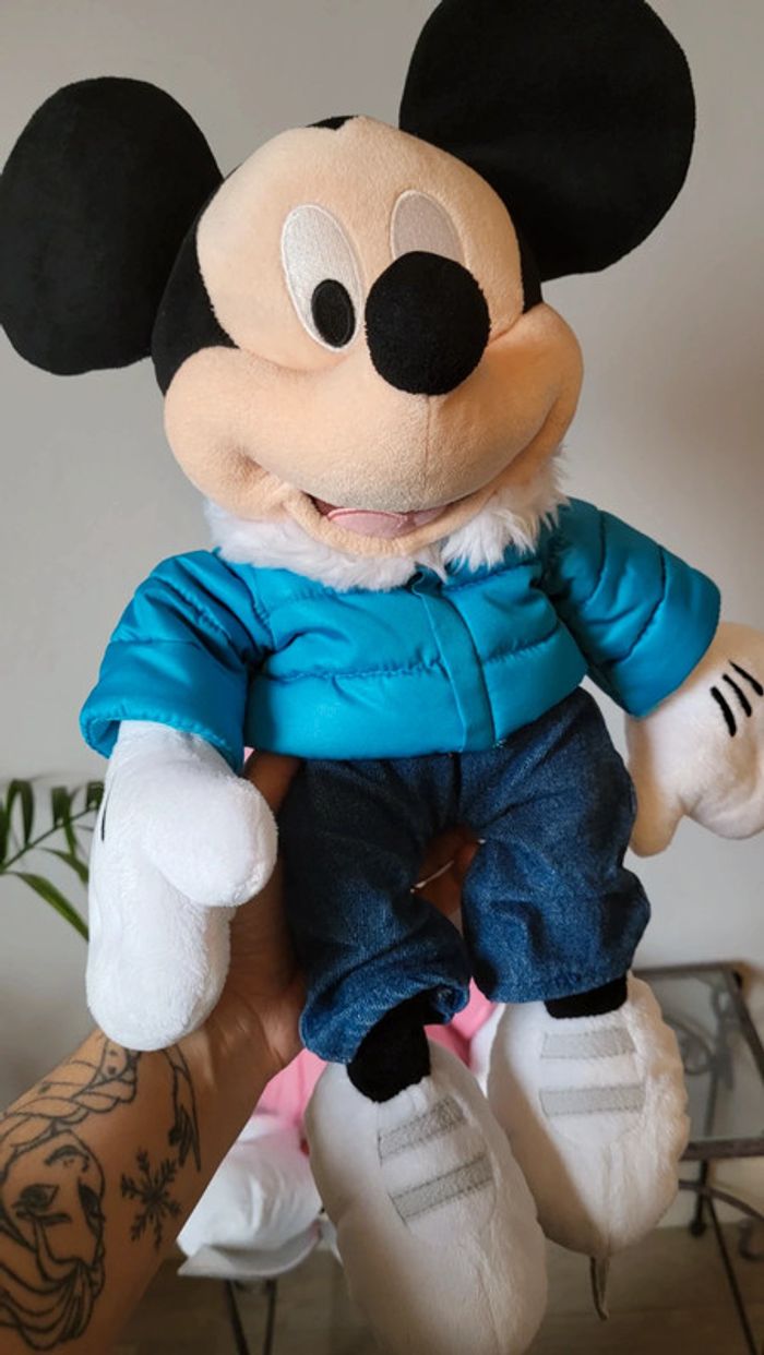 Mickey et Minnie 2011 - photo numéro 6