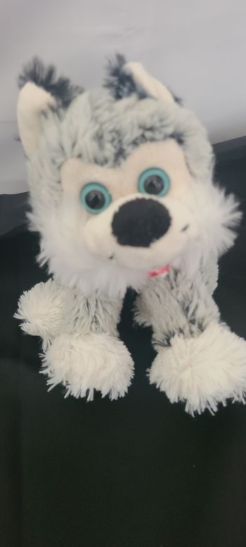 doudou husky jumi