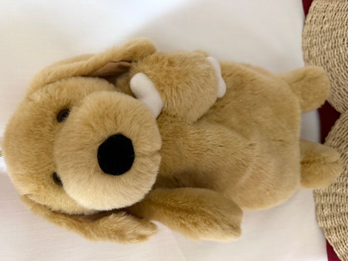 gifts & treats peluche chien os range pyjama