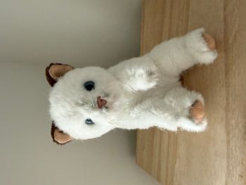 Peluche Chat Siamois Mécanique Pawpalz 2008