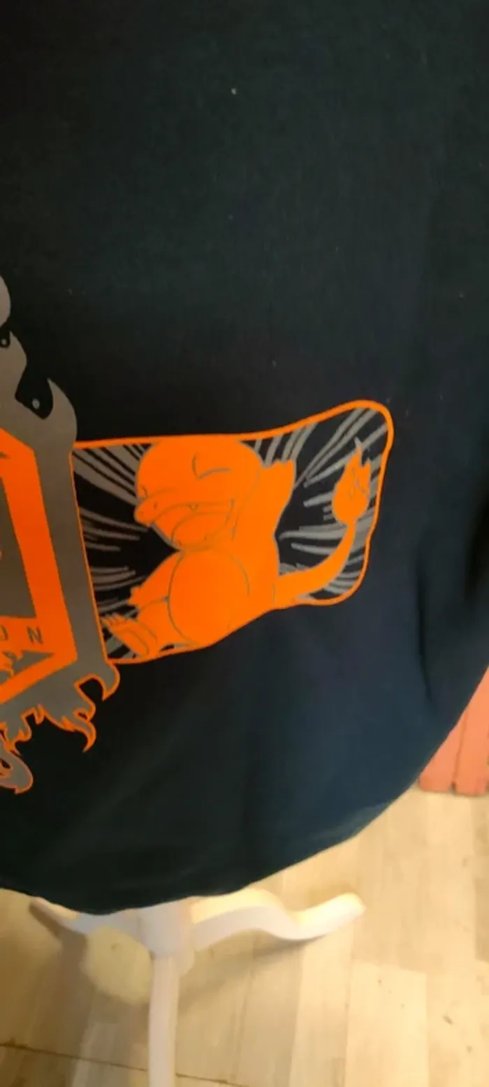 Pull a capuche pokemon - photo numéro 8