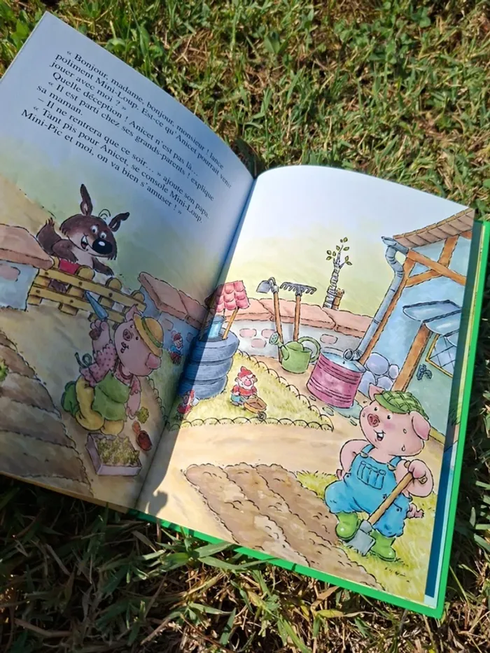 Livre l anniversaire de mini loup - photo numéro 2