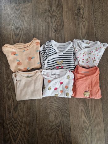 Lot de 6 bodies manches courtes