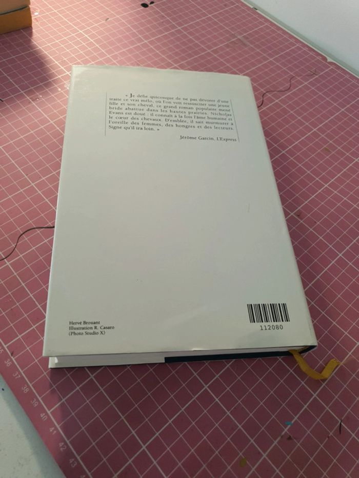 L'homme qui murmurait à l'oreille des chevaux - photo numéro 3