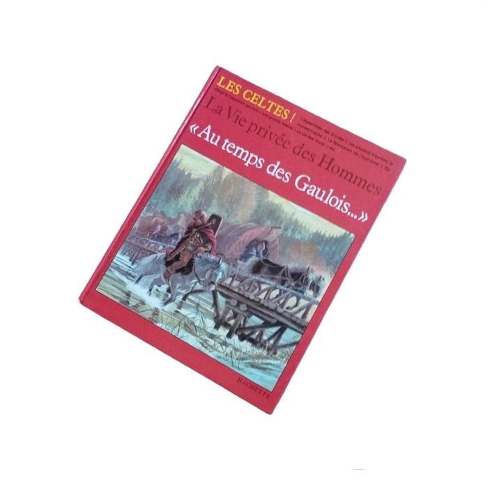 📚 Livre Au temps des gaulois #emyfleury_livres - photo numéro 2
