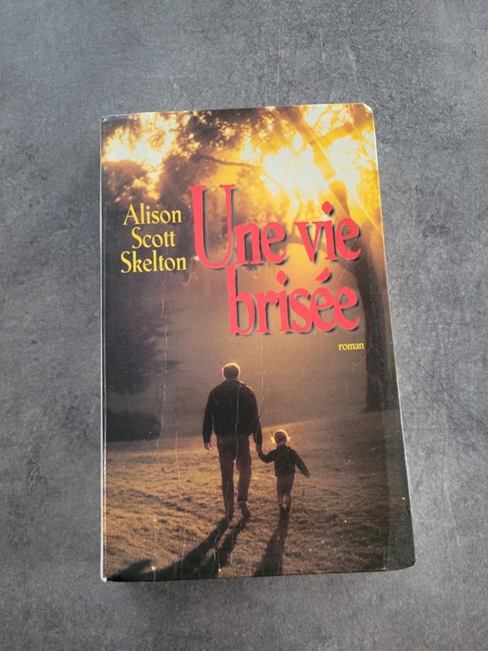 Livre 📖 une vie brisée