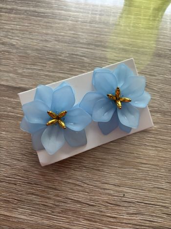 Boucles d’oreilles fantaisie