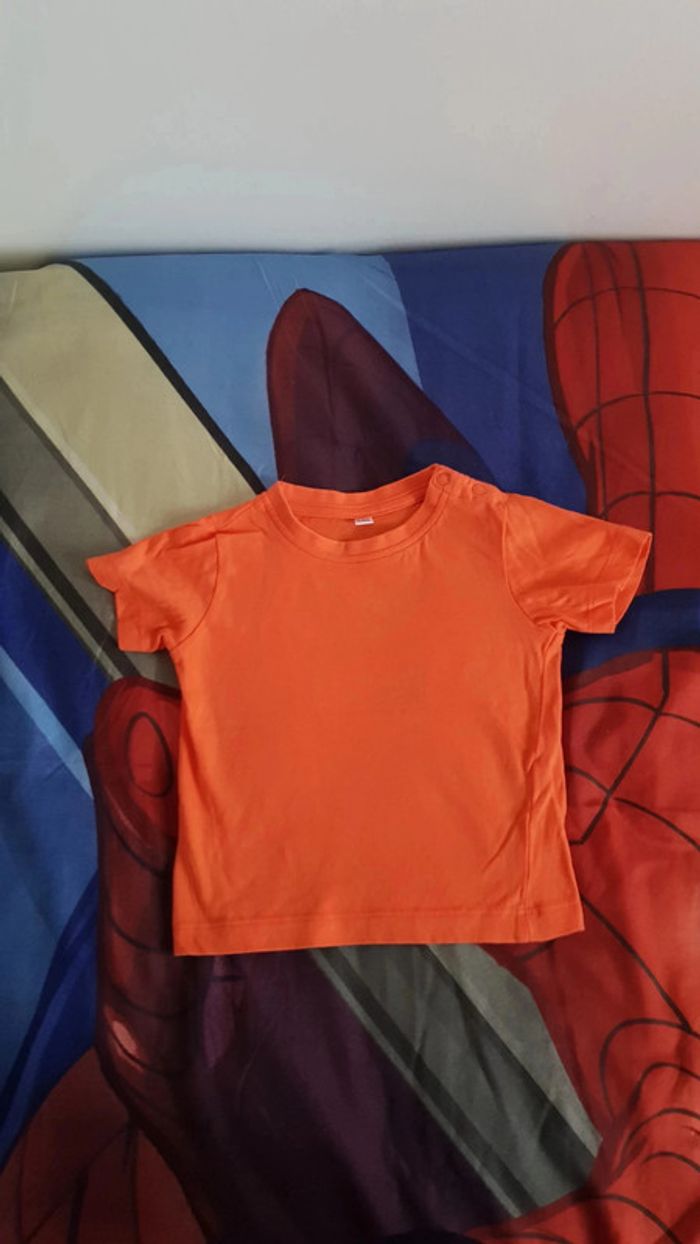 Tee-shirt garçon manches courtes taille 18 mois