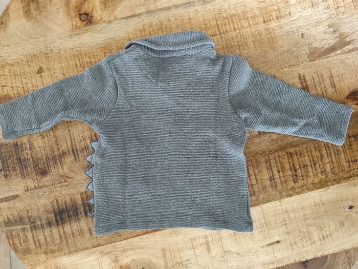 Polo Orchestra 9 mois - photo numéro 3