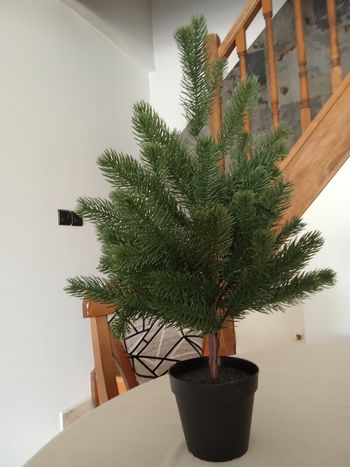 Sapin plastique