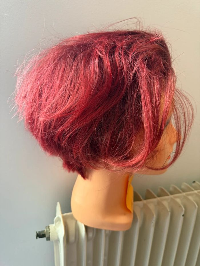 Tête malléable professionnelle Raphael Perrier - Cheveux Colorés (Rouge/Bourgogne) - photo numéro 2