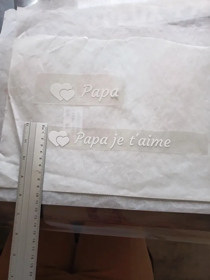 Flex papa - photo numéro 3