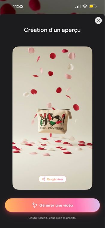 Pochette Palestine 