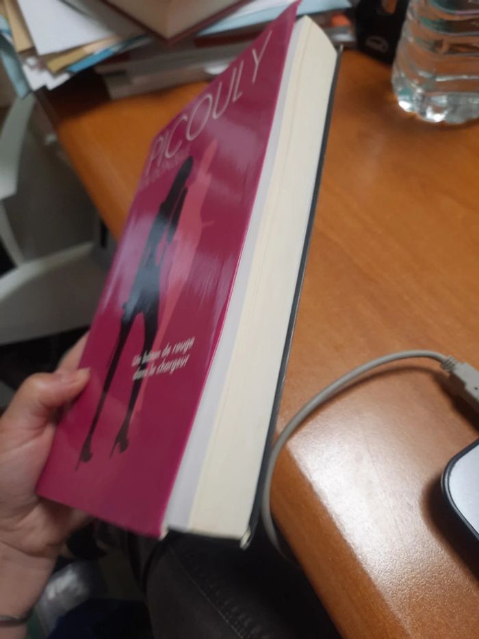 Livre picouly - photo numéro 4