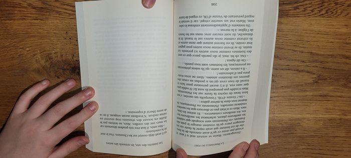 La Demoiselle du Port - photo numéro 5