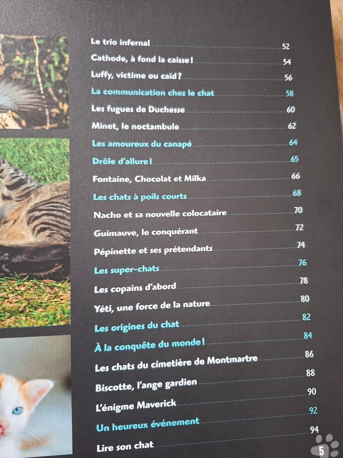 La vie secrète des chats - photo numéro 6