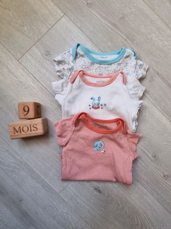 Lot de 3 bodies 9mois mixte