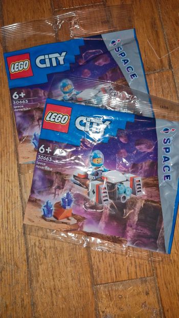 Lot de 2 sachets lego city