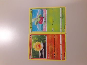 Morphéo forme solaire + Croquine lot de 2 cartes Pokémon neuves