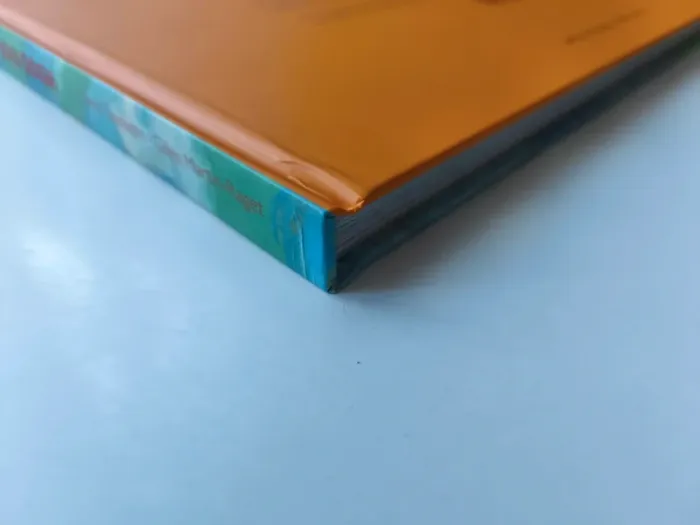 Livre le midi de van Gogh (éditions Crès) - photo numéro 4