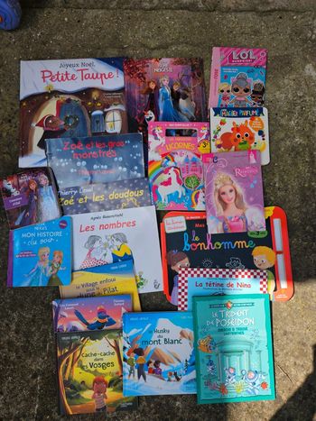 Gros lot de livre