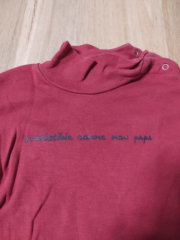 Pull col roulé Grain de blé 12 mois irrésistibles comme papa