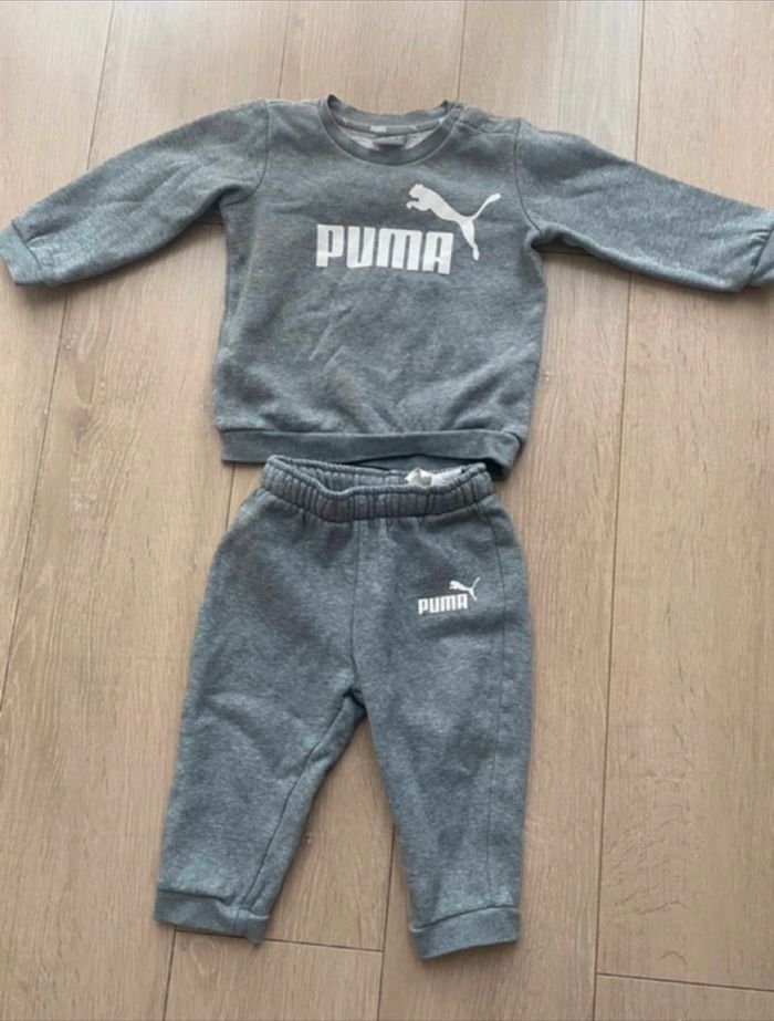 Ensemble Puma