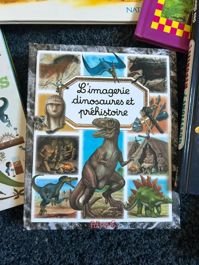 Lot livres dinosaures - photo numéro 3